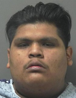 Lemoore police officers get big help from canine unit in arrest of suspect Colin Sepsey